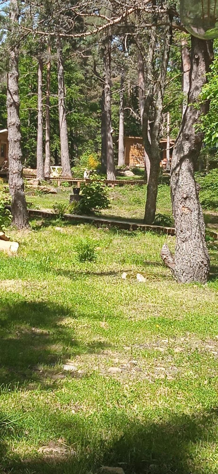 Chalet Libellule Domaine De La Mamounette Champclause Esterno foto
